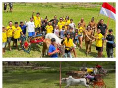 Meriahkan HUT Perdana Rukun Roda Sapi Pacu Minut, 67 Peserta se-Sulutgo Unjuk Gigi di Lintasan “Rama Boy” Paniki Atas